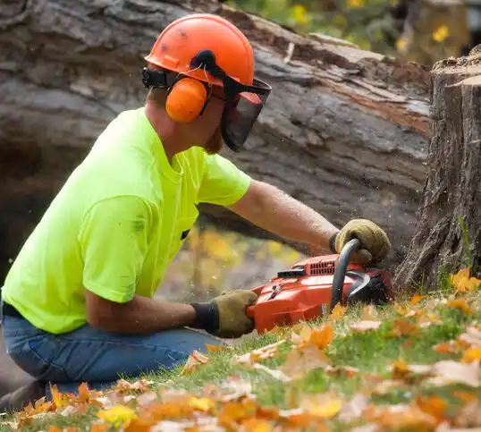 tree services Barton